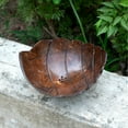 thumbnail image 2 of Rainforest Bowls Cocoon Coconut Soap Dish, 2 of 5