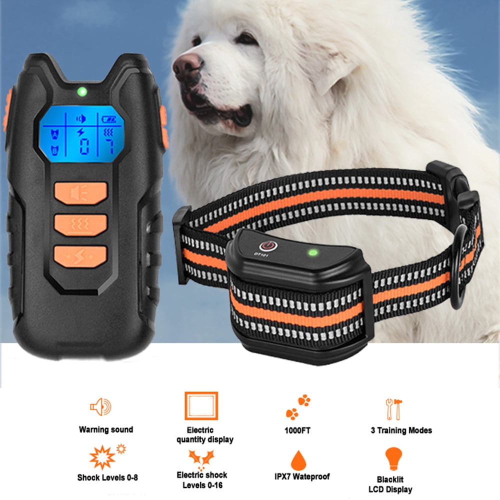 dog shock collar walmart