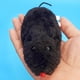 thumbnail image 2 of 4 Uds. De juguetes para ratones, No se necesitan pilas, juguetes interactivos para gatos, 2 of 6