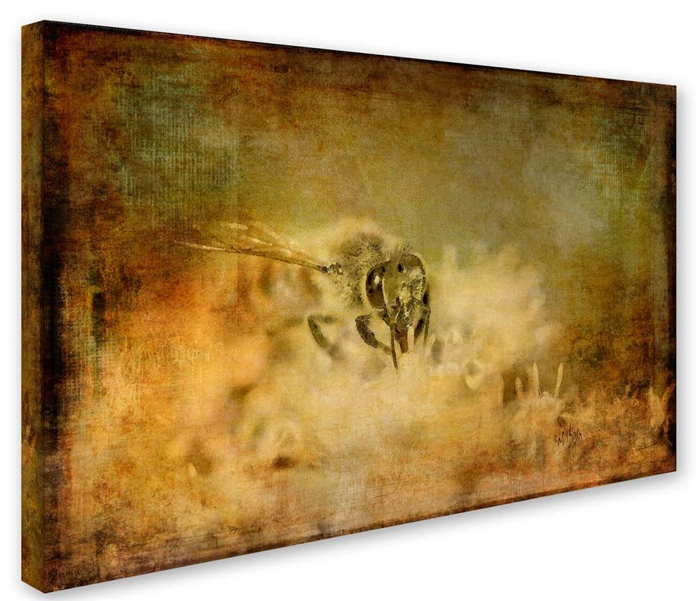 Trademark Fine Art "Send the Bees Love" Canvas Art by Lois Bryan