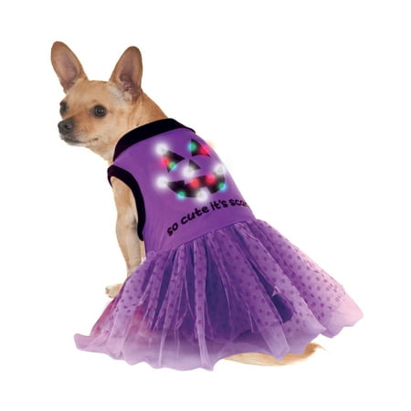 Led Light Up Purple Black Jack O Lantern Pet Dog Cat Halloween Dress