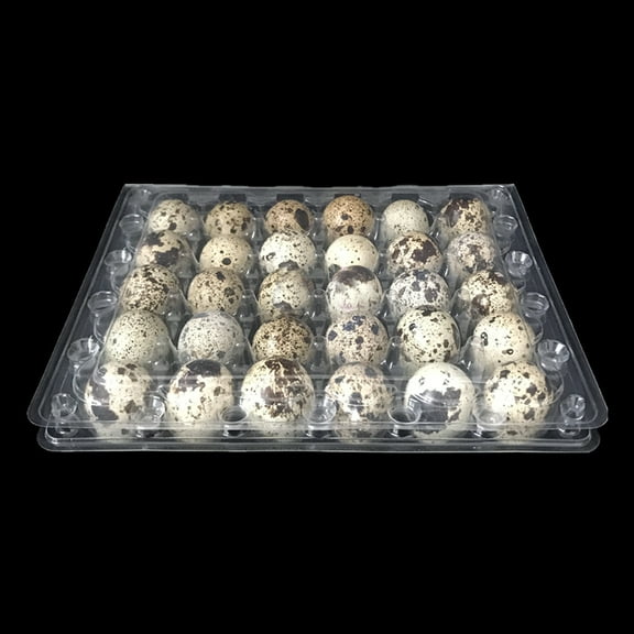 OUNONA  12 Pcs Reusable Egg Carton Clear Cartons Container Quail Eggs Storage