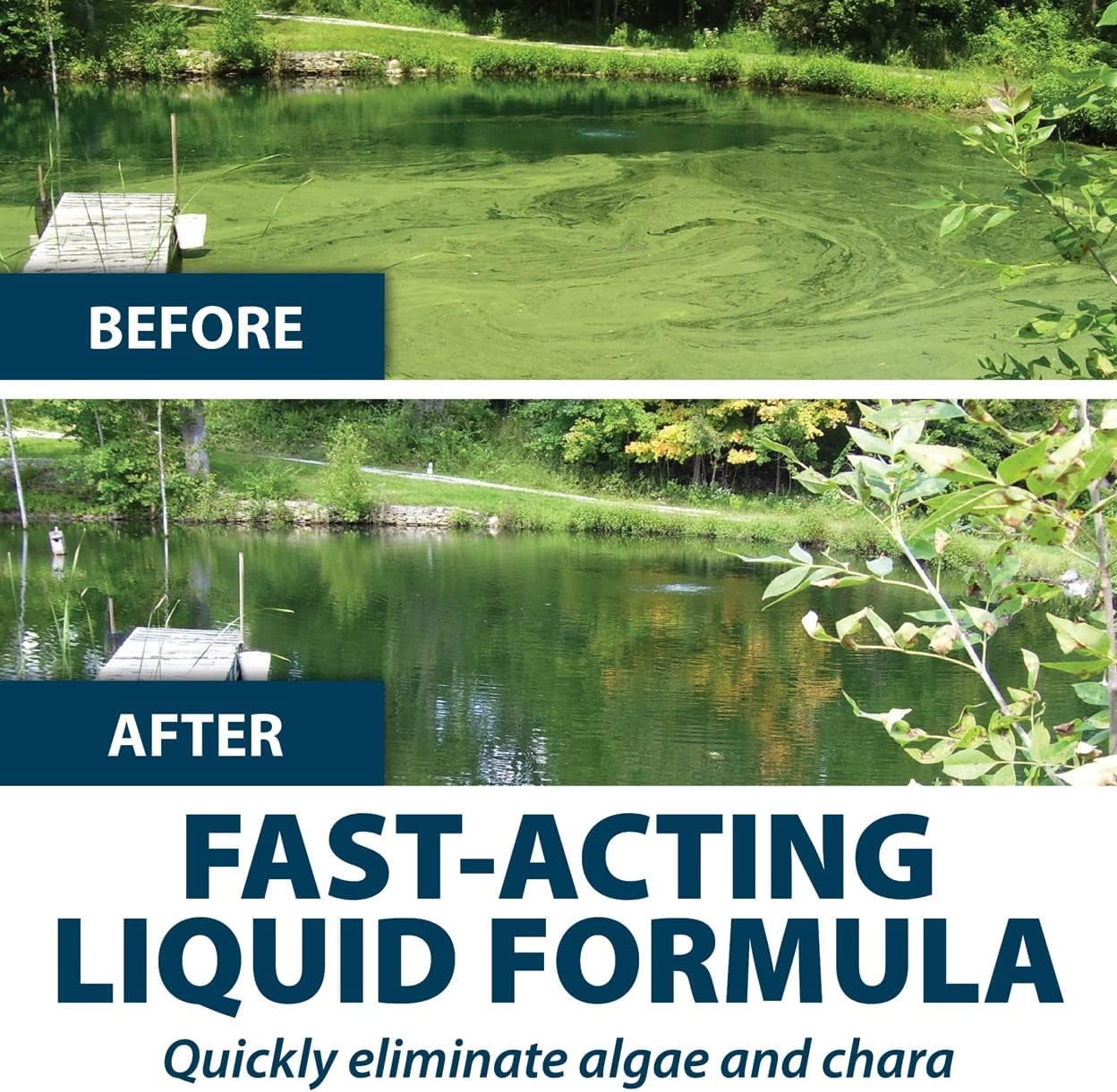 Airmax Algae Defense, EPA-Registered Algaecide for Scum & Chara, Pond & Lake Treatment, 1 Gallon