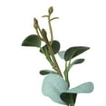 thumbnail image 4 of Vickerman 32" Artificial Green Eucalyptus Leaf Spray. Includes 3 sprays per pack., 4 of 7