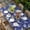 Dark Blue, variant on Yellow Camels Table Cloths for 6 Foot Rectangle Tables, Modern Watercolor Cute Funny Animals Patio Waterproof Elastic Fitted Tablecloths, Washable Rectangular Table Cover for Camping