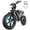 Black, variant on UL2849 Electric Bike for Adults, Peak 1500W Motor, 20"x4" Fat Tire,48V/17.5AH