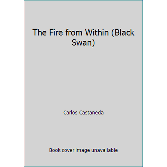 Pre-Owned The Fire from Within (Black Swan) (Paperback) 0552991600 9780552991605