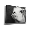 thumbnail image 2 of Epic Graffiti 'Lake Tobias Alpaca' by Lori Deiter, Canvas Wall Art, 54"x40", 2 of 8