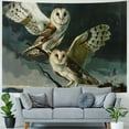 thumbnail image 4 of Orinice Owls Tapestry Wall Hanging Unique Style Graphic Tapestries Home Decor for Living Room Bedroom 40x30inch, 4 of 6