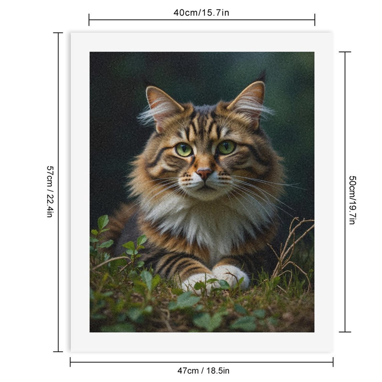 Paint by Numbers Kit for Adults, Maine Coon Cat Green Eyes Grass Paint by Numbers, Easy Paint by Numbers Kit for Adults Beginner, DIY Adult Paint by Number Kits on Canvas, Home Decor