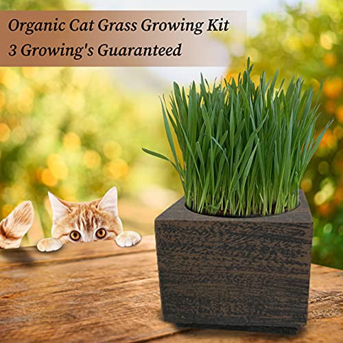 Organic Cat Grass Seeds Kit Wheatgrass Growing Kit Organic Seed & Soil for 3 Growings Healthy Pet Grass Supplement Round Hole Planter