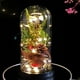 thumbnail image 3 of Plantas navideñas con cúpula de cristal Adornos navideños Rama de pino navideña con cúpula de cristal y luces, 3 of 5