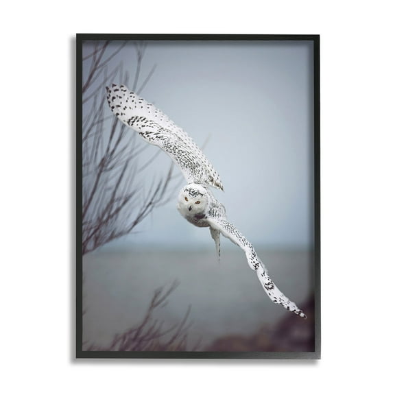 Stupell Industries Majestic Snowy Owl Flying Wingspan Wildlife Photography Photograph Black Framed Art Print Wall Art, Design by Carrie Ann Grippo-Pike