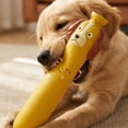 thumbnail image 5 of Latex Sausage Dog Chew Toy - Interactive, Soft & Pet Toy For Puppies & Senior Dogs,Interactive Pet Toys,Gifts for Pets and Pet Lovers(A), 5 of 6