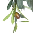 thumbnail image 4 of Vickerman 30" Artificial Olive Tree., 4 of 8