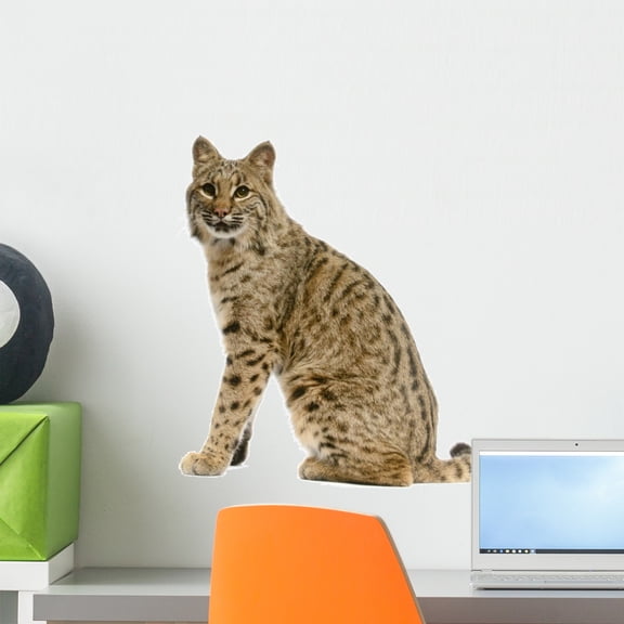 Bobcat Wall Decal by Wallmonkeys Peel and Stick Graphic (18 in H x 16 in W) WM237994