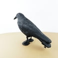 thumbnail image 4 of Decorative Crow With Stake, Bird Repellent For Garden Yard Patio Lawn Outdoor Decoration, Lifelike Simulation Crow Scarecrow For Bird Control And Pest Deterrence, 4 of 7