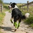 thumbnail image 4 of Knitted Breathable Dog Elbow Protector Leg Warmers for Small Medium Puppy Anti Licking Injury Recovery Comfort Wear, 4 of 5