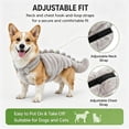 thumbnail image 6 of 2026 Dino Skeleton Plush, Dinosaur Skeleton Plush Costume for Dogs and Cats, 6 of 6