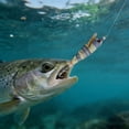 thumbnail image 1 of Klonfd Soft Squid Hook Enhances Your, 1 of 4