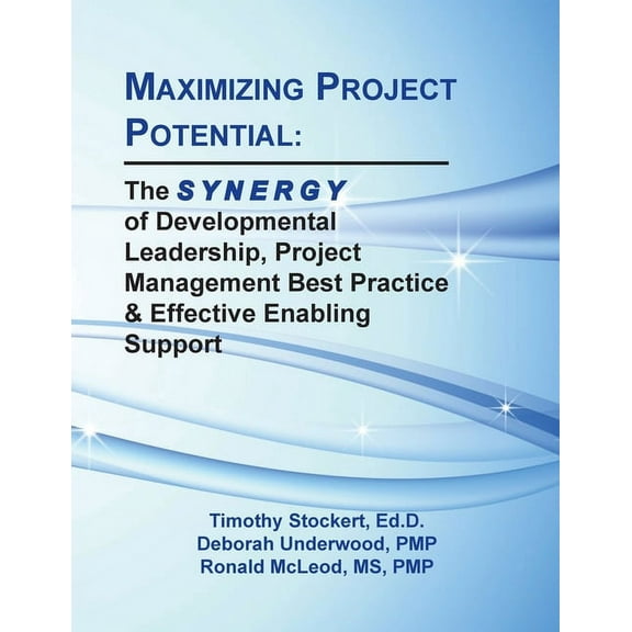 Maximizing Project Potential: The S Y N E R G Y of Developmental Leadership, Project Management Best Practice & Effe, (Paperback)