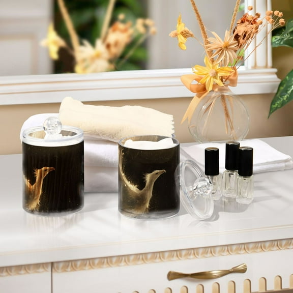 Ckdifva White Phoenix Storage Jar with Lid Acrylic Organization Storage Containers Set of 2