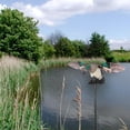 thumbnail image 3 of 3xElectric Fly Duck Decoy Hunting Shooting Mallard Drake Decoy Lawn Pond Decor Sunnimix Señuelo de pato de movimiento de caza, 3 of 8