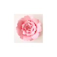 thumbnail image 1 of 2Pcs Handmade Giant Paper Rose Flower 20cm/7.87'' DIY Backdrop Wall Wedding Party Decor, 1 of 9