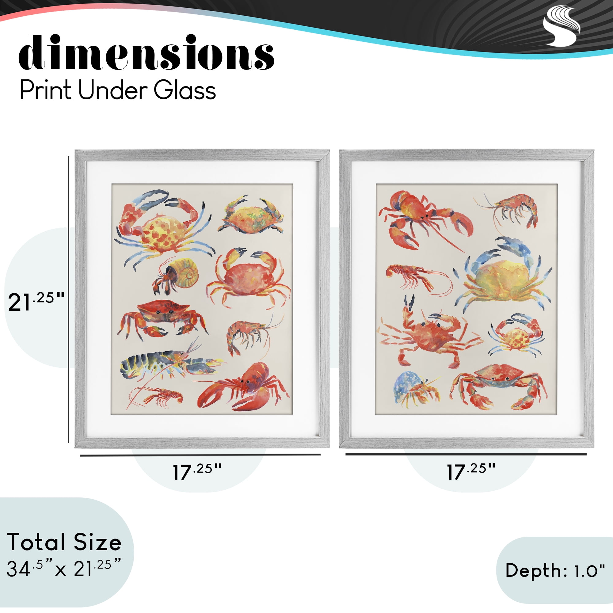 Stupell Industries Aquatic Crustacean Collection 2 Piece Gray Framed Print Under Glass Set, design by June Erica Vess