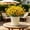 Beige, variant on EDHITNR 2 in 1 Thickened Root Control Pot Flower Pot Imitation Ceramic Design for Gardening Flowers Green Plants, Square Container with Base Tray for Indoor Outdoor 7.87x7.87x5.91 Inch
