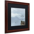 thumbnail image 2 of Trademark Fine Art "Lake Vista VIII" Canvas Art by Alan Blaustein, Black Matte, Wood Frame, 2 of 4