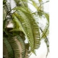 thumbnail image 6 of Artificial Green Fern Leaf Stem Plant 37" Tall, 6 of 7