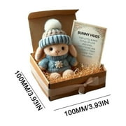 Mini Bunny Hug Cute Easter Gift, Easter Plush Bunny with Knitted Hat and Pom Pom, Easter Bunny Pocket Bear Hug,Soft Pocket Emotional Support Rabbit with Gift Box & Card