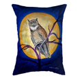 thumbnail image 1 of Betsydrake NC1172 Hibou de 16 x 20 Po en Oreiller Sans Cordon, 1 of 1