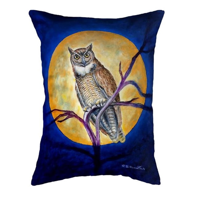 Betsydrake NC1172 Hibou de 16 x 20 Po en Oreiller Sans Cordon