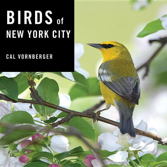 Birds of New York City, (Hardcover)