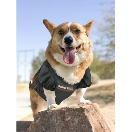 Pets First Collegiate Oregon State Beavers Football/Basketball Mesh Jersey for Pet Dog. available in 40+ Teams - Large - Image 5