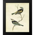 thumbnail image 2 of Cassin 20x24 Black Modern Framed Museum Art Print Titled - Blue-headed Tanager, 2 of 5