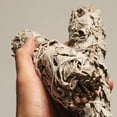 thumbnail image 2 of Natural White Sage Sticks - Fresh, Natural Sage Smudge Sticks with Instructions & Blessings - Wand Sage for Cleansing House Negative Energy & Other Smudging Rituals, 2 of 7