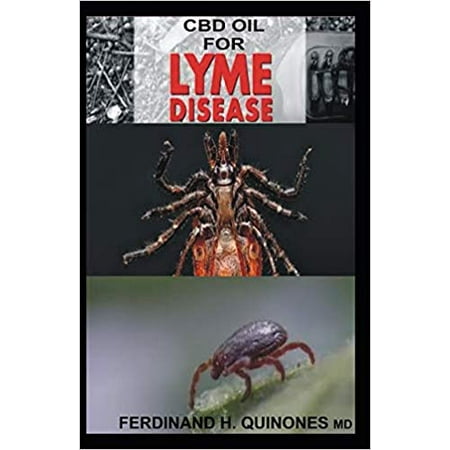 CBD Oil for Lyme Disease: All You Need to Know about Using CBD Oil to Treat Lyme (Best Way To Treat Lyme Disease)