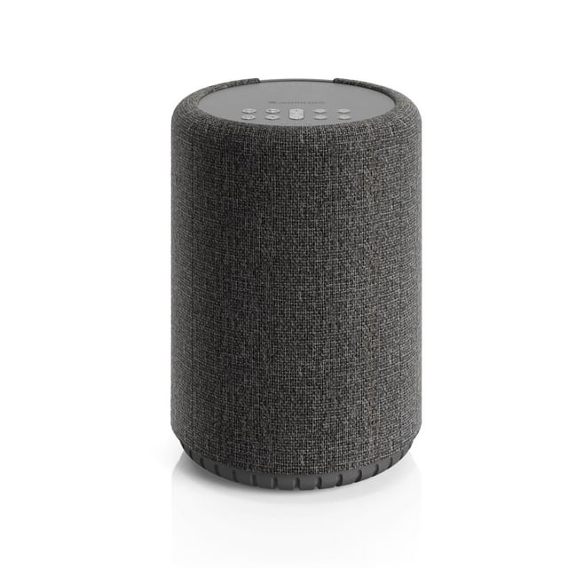 Audio Pro Altavoz Inalámbrico Multiroom A10 MKII WiiM | Montable en Pared, Alta Fidelidad, Bluetooth