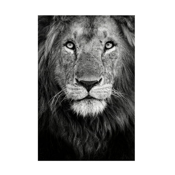 Canvas Wall Art - Xavier Ortega 'Royal Portrait' Wall Art for Living Room, Bedroom, or Office Décor by Trademark Fine Art - 12 x 19 Inches
