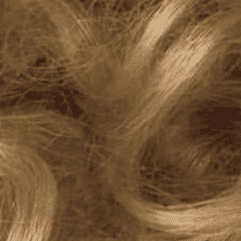 6G Honey Blonde