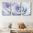 thumbnail image 1 of PixonSign Canvas Print Wall Art Set Purple and Blue Rose Interior Botanical Flower Photography Realism Contemporary Closeup Edgy Multicolor Pastel for Living Room, Bedroom, Office - 24"x36"x3, 1 of 5