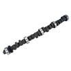 Ford Performance Parts Engine M-6250-E303 Hydraulic Roller Camshaft ...