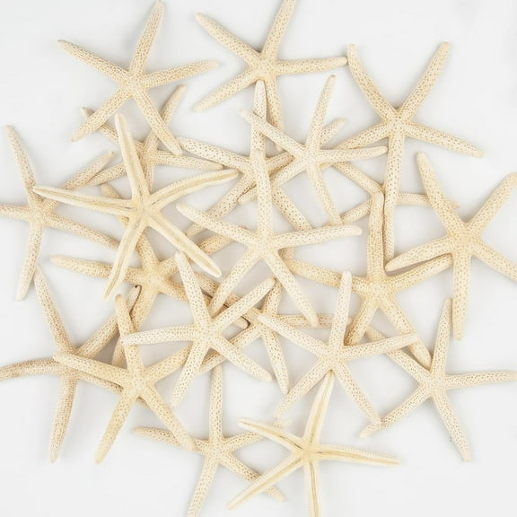 Sinkoo 20 Pcs  Medium Large Starfish Bulk for Crafts, 2" to 4" Natural Starfish Decor, for Christmas Tree Ornaments Beach Theme Party Decor Wedding Home Decor DIY Crafts