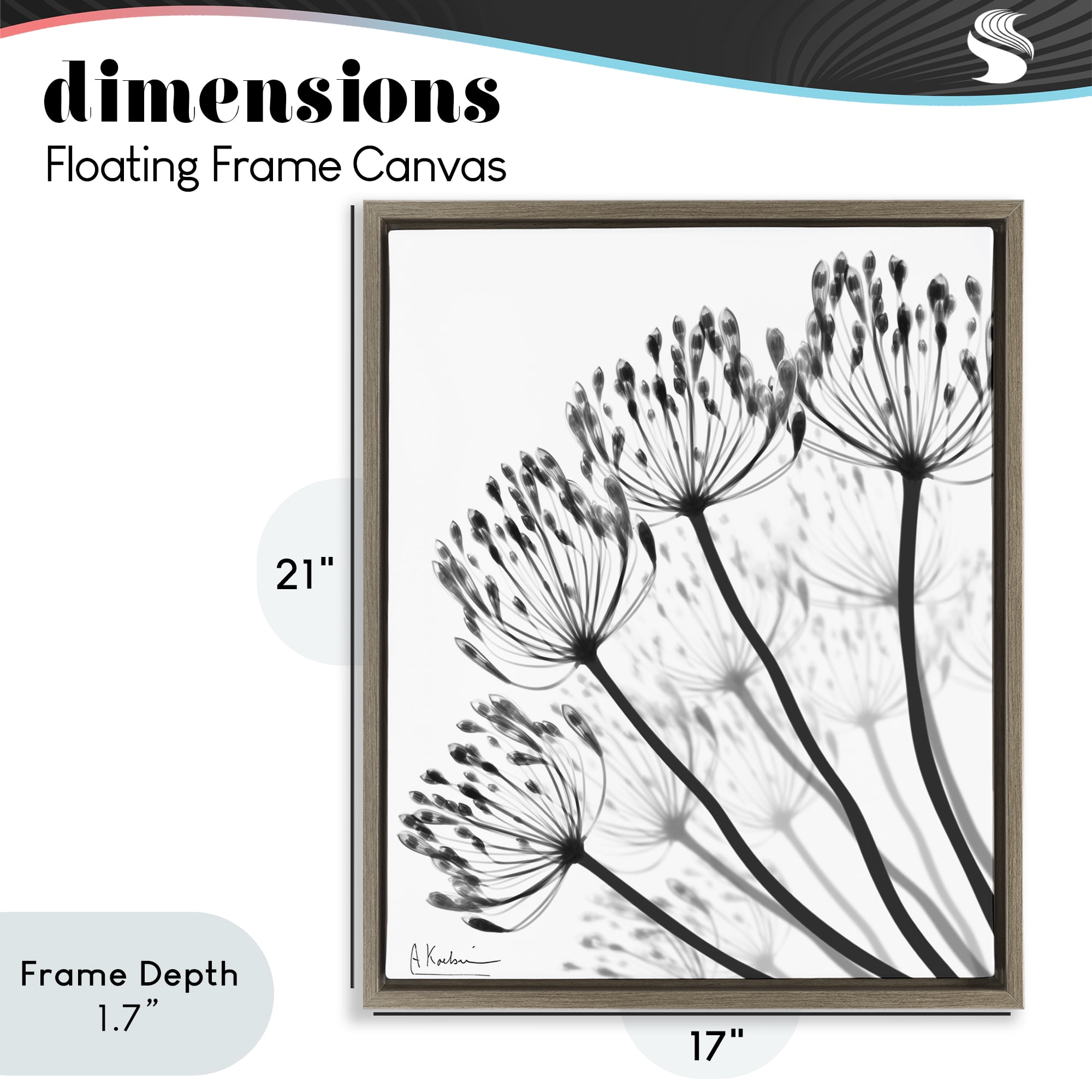Stupell Industries Floral Fan Dandelions Brown Framed Floater Canvas Wall Art, design by Albert Koetsier