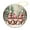 pattern-351, variant on Ceramic Ornament Snowy Christmas Night Scene with The Red Barn Christmas Decorations Ornament Classic Christmas Red Barn Ornament Customized Ceramic Xmas Tree Decor