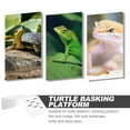 thumbnail image 2 of OULII Reptile Climbing Ramp Reptile Platforms Plastic 1Pcs Climbing Aid, 2 of 8