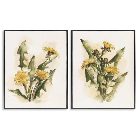 Stupell Industries Dandelion Watercolor Sketch Plants & Flowers Painting Black Framed Art Print Wall Art, 11 x 14, Set of 2